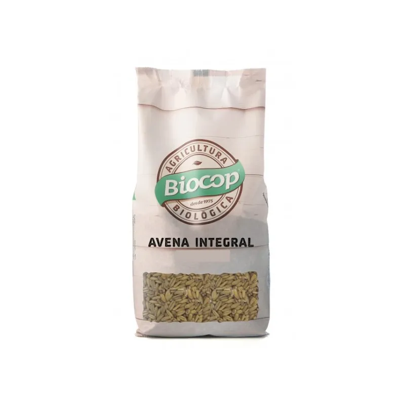 Avena integral grano BIO 500 g, Biocop
