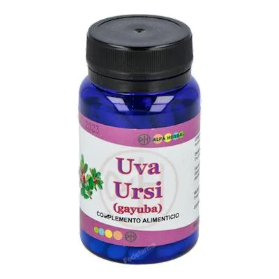 UVA ursi gayuba 60 cápsulas, Alfa Herbal