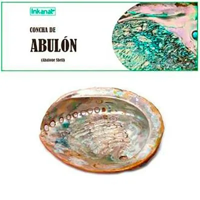 Concha de abulon 12-14cm 1 uds., Inkanat