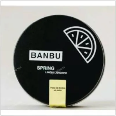 Spring dentífrico limón polvo BIO 60 g, Banbu