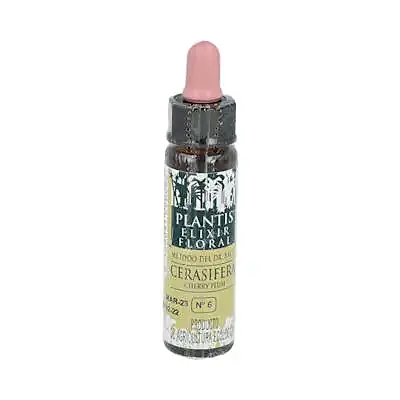 Flor 6 cerasifera 10 ml, Plantis