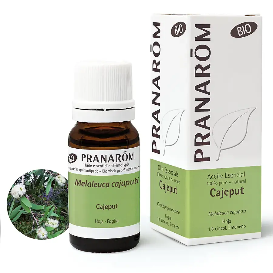Aceite esencial de cajeput (hoja) BIO 10 ml, Pranarom