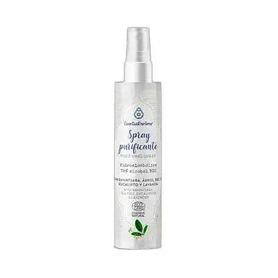 Spray purificante hidroalcoholico BIO 100 ml, Esential Aroms