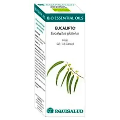 Aceite esencial de essential oils eucalipto BIO 10 ml, Equisalud