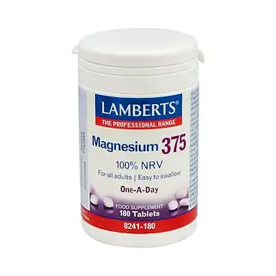 Magnesium 375 one a day 180tb, Lamberts