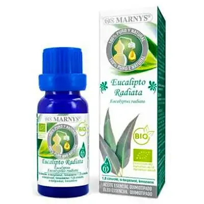 Aceite esencial de eucalipto radiata BIO 10 ml, Marnys