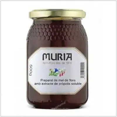 Miel de mil flores con própolis 500 g, Muria