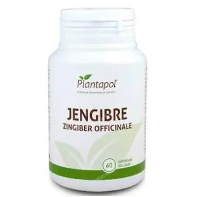 Jengibre 600 mg 60 cápsulas, Plantapol