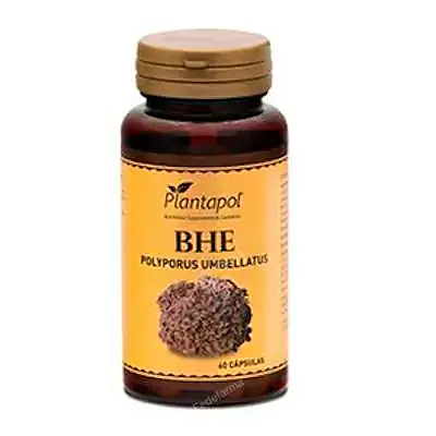 Bhe polyporus + escaramujo 60 cápsulas, Plantapol
