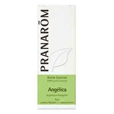 Aceite esencial de angelica 5 ml, Pranarom