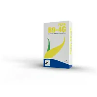 B9-4 g fepadiet 40 cápsulas, Fepa