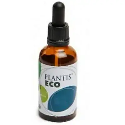 Extracto diente de leon sin alcohol BIO 50 ml, Plantis