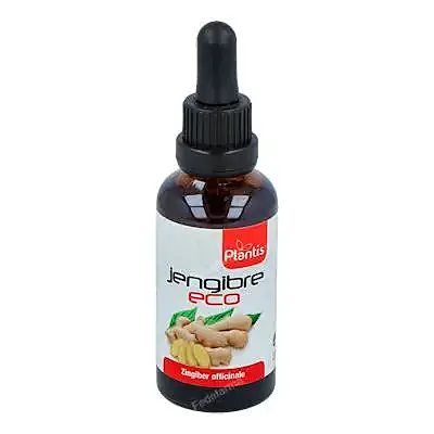 Extracto jengibre BIO 50 ml, Plantis