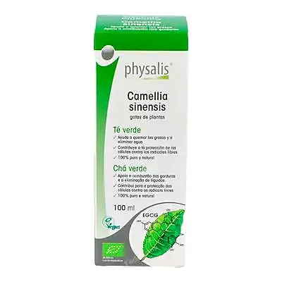 Extracto té verde (camelia sinensis) BIO 100 ml, Physalis