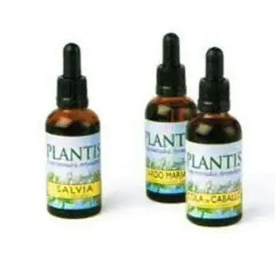 Extracto boldo maese herbario 50 ml, Plantis