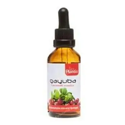 Extracto gayuba maese herbario 50 ml, Plantis