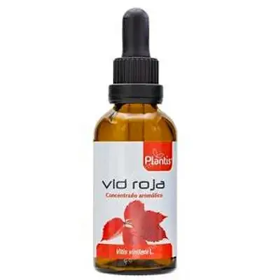 Extracto vid roja maese herbario 50 ml, Plantis