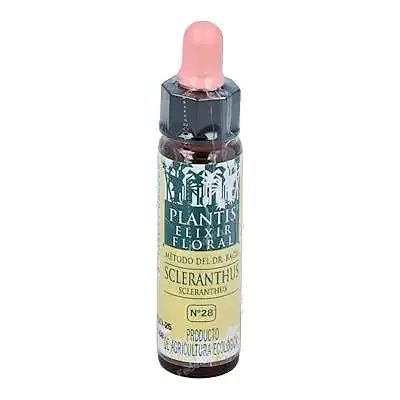 Flor 28 sclerantus 10 ml, Plantis
