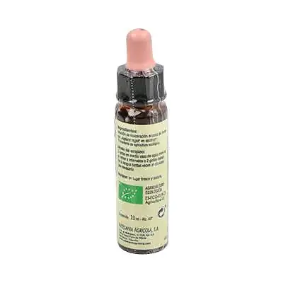 Flor 33 walnut nog 10 ml, Plantis
