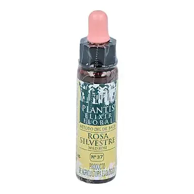 Flor 37 wild rose 10 ml, Plantis