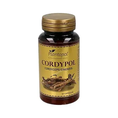 Cordypol cordyceps + vit c 60 cápsulas, Plantapol