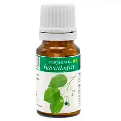 Aceite esencial de ravintsara BIO 10 ml, Plantis