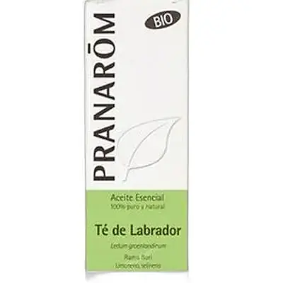 Aceite esencial de té de labrador rama flori 5 ml, Pranarom